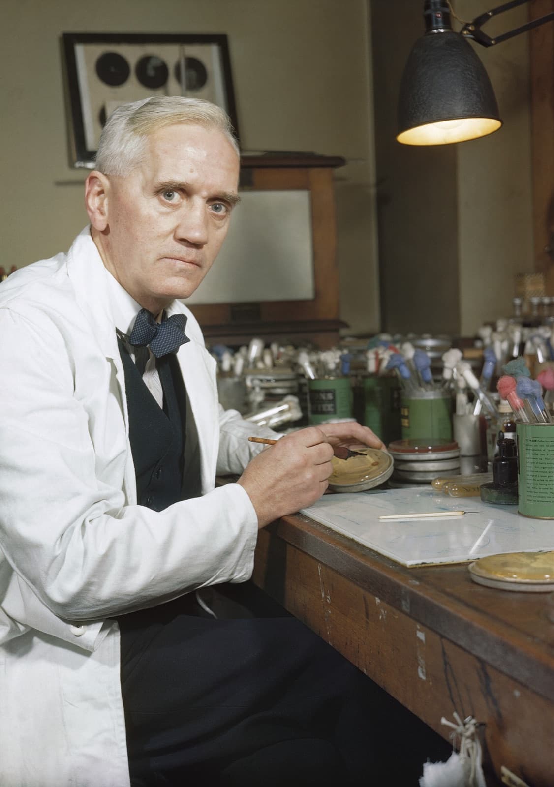 Alexander Fleming at his laboratory bench